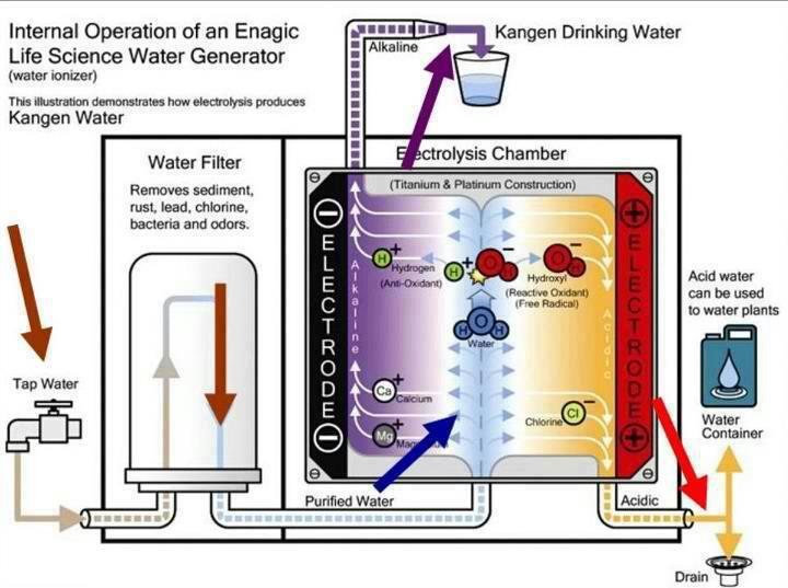 kangen 2.5 acid water